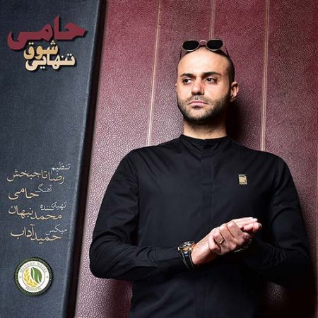 دانلود آهنگ حمید حامی بنام شوق تنهایی