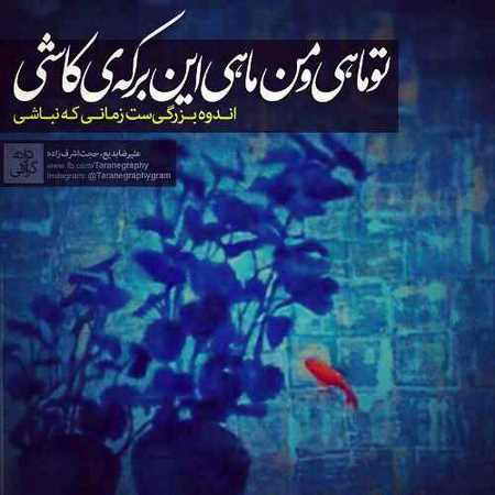 دانلود آهنگ ماه و ماهی از حجت اشرف زاده