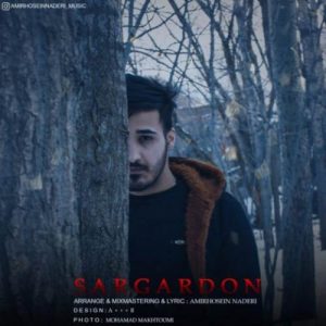 دانلود آهنگ سرگردون از امیرحسین نادری