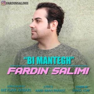 دانلود آهنگ بی منطق از فردین سلیمی