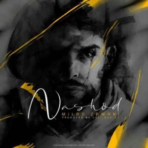 دانلود آهنگ نشد از میلاد زمانی