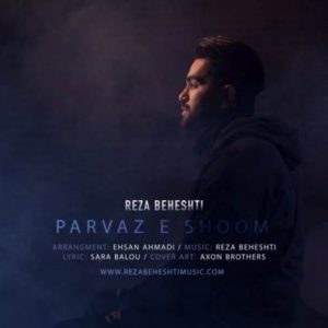 دانلود آهنگ رضا بهشتی پرواز شوم