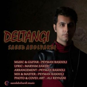 دانلود آهنگ دلتنگی از سعید ابوالوردی