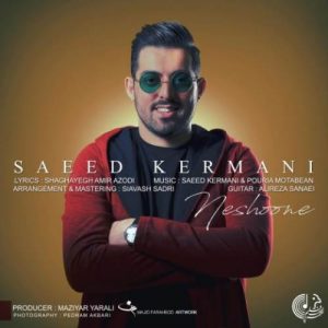 دانلود آهنگ نشونه از سعید کرمانی