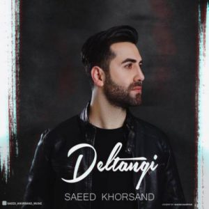 دانلود آهنگ دلتنگی از سعید خرسند