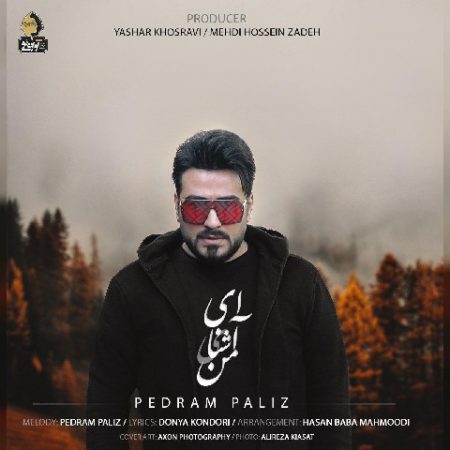 دانلود آهنگ ای آشنای من پدرام پالیز