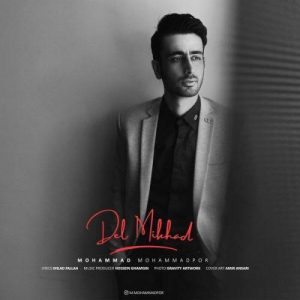 دانلود آهنگ دل میخواد محمد محمدپور