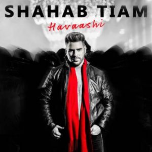 دانلود آهنگ حواشی از شهاب تیام