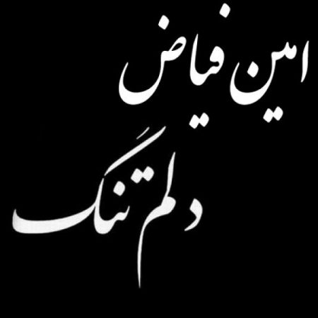 امین فیاض دلم تنگه