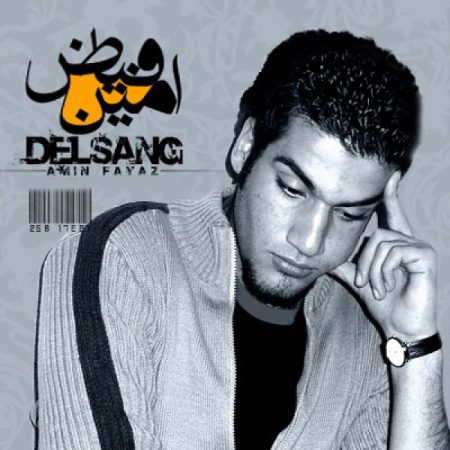 امین فیاض دلسنگ