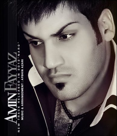 امین فیاض نرو