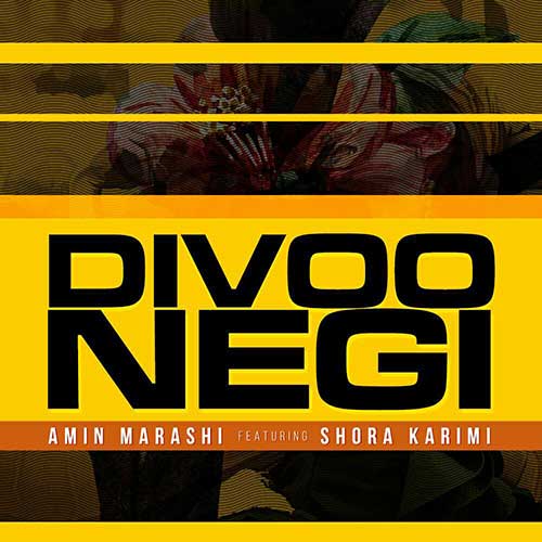 امین مرعشی دیوونگی