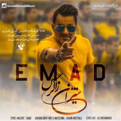 عماد احمدی شیران زاگرس