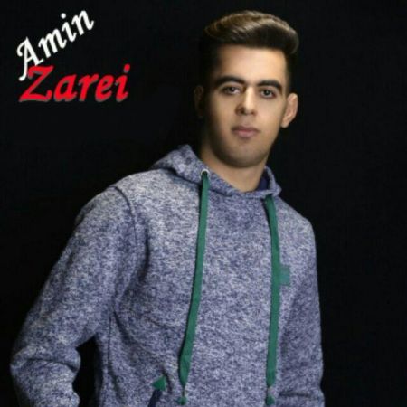 امین زارعی ویران