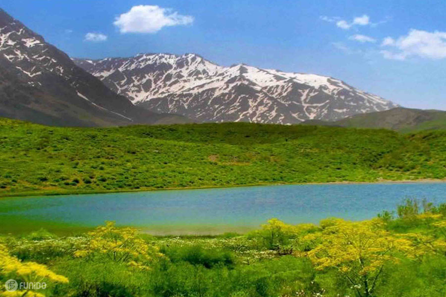 اسفندیار احمدی نرمو