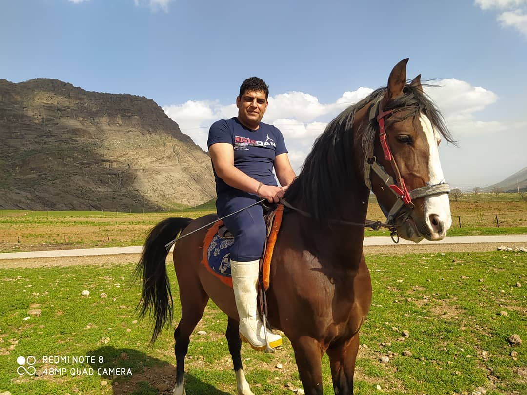 فرشاد مرادی خانم خانمی