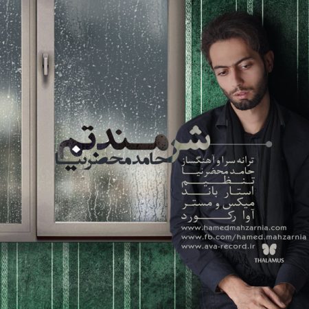 حامد محضرنیا شرمندتم