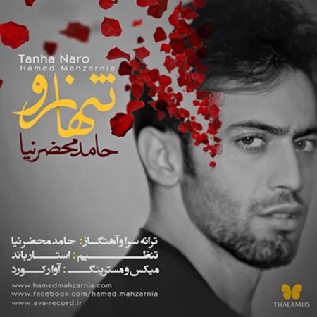 حامد محضرنیا تنها نرو