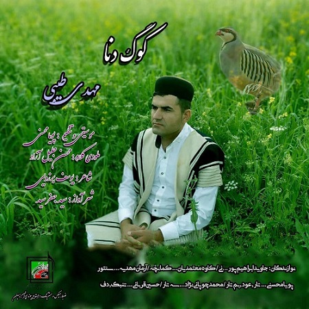مهدی طیبی کوگ دنا