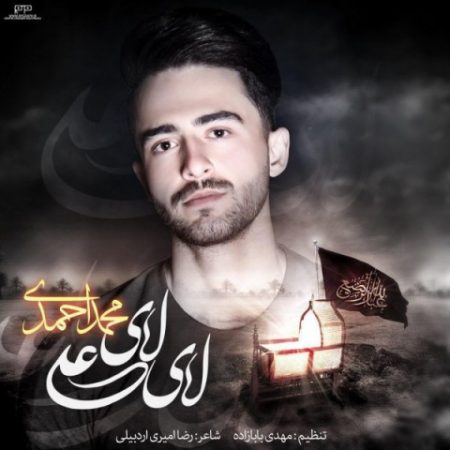 محمد احمدی لای لای