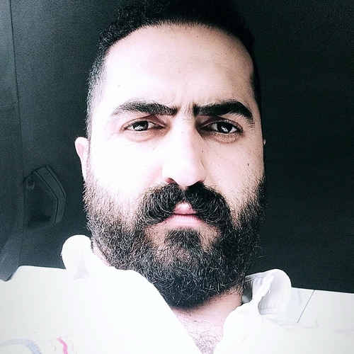 رضا کرد امیری