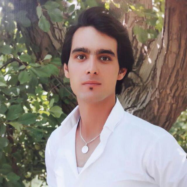 رضا میران خار زرد