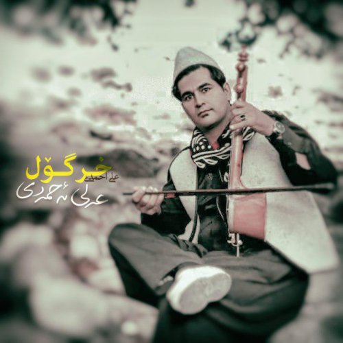 علی احمدی خر گول