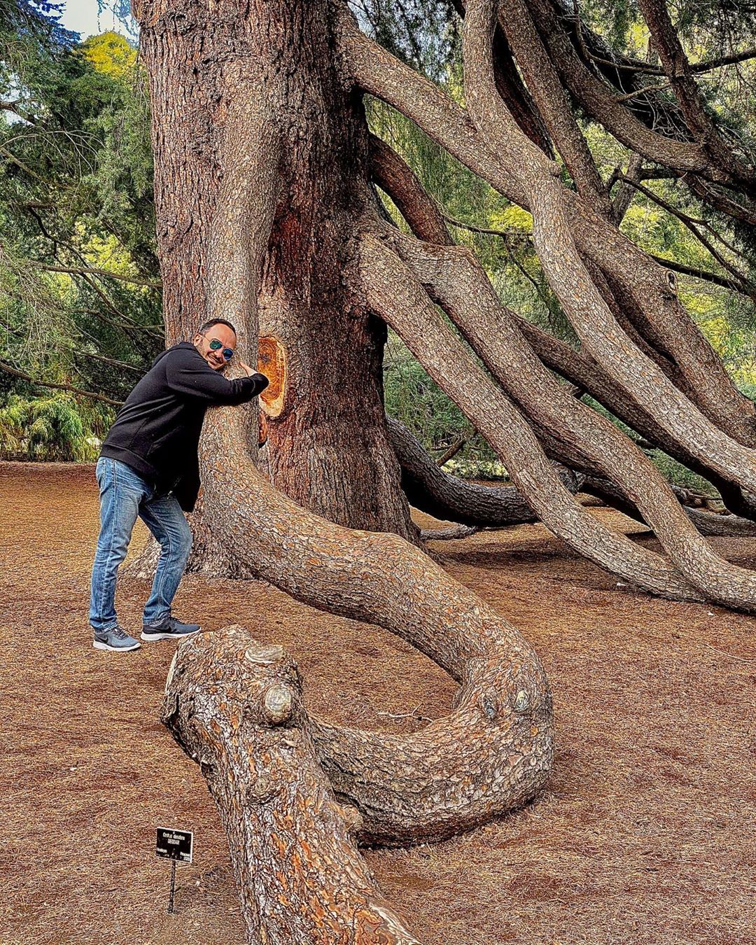 احسان کرمی رویا