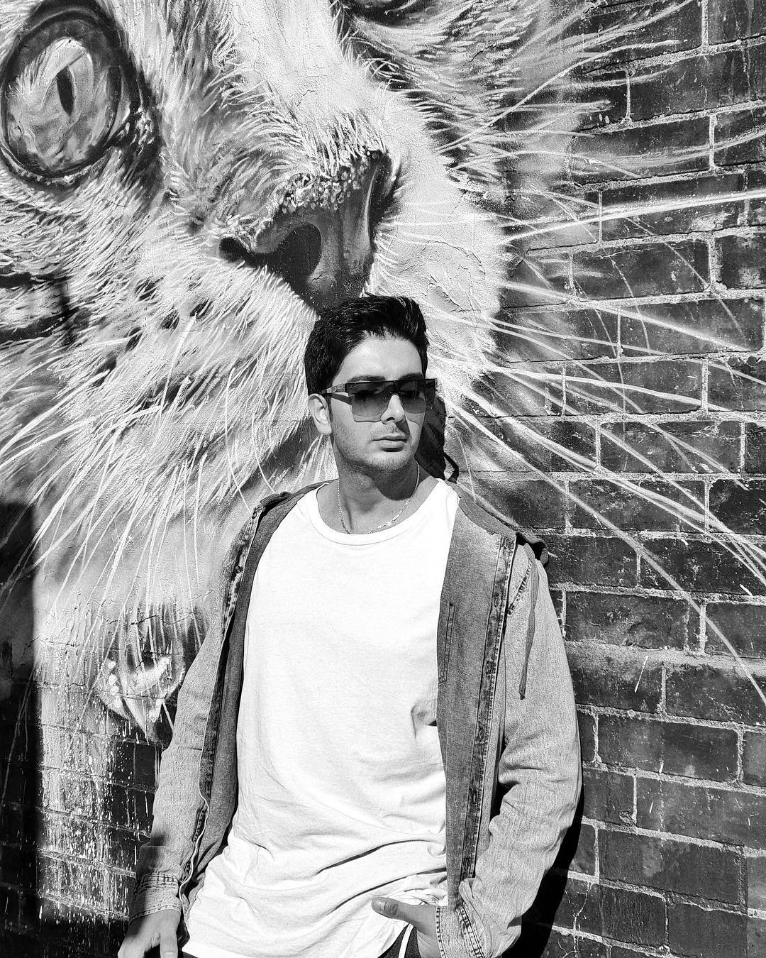 فرزاد فرزین صلح جهانی