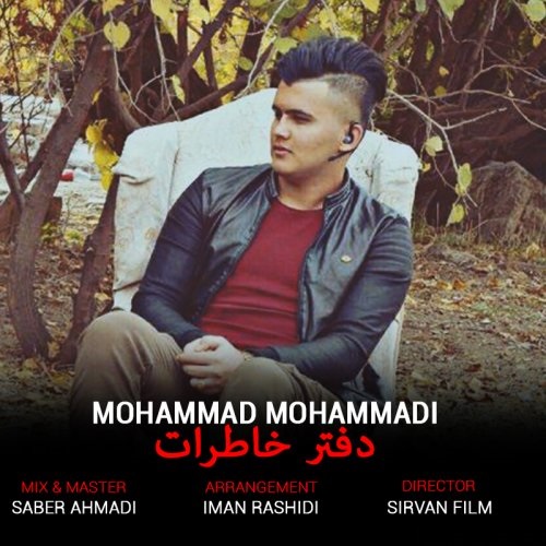 محمد محمدی دفتر خاطرات