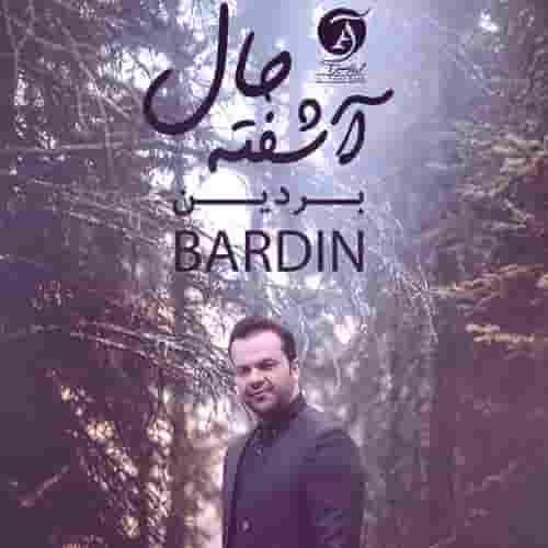 دانلود آهنگ آشفته حال بردین