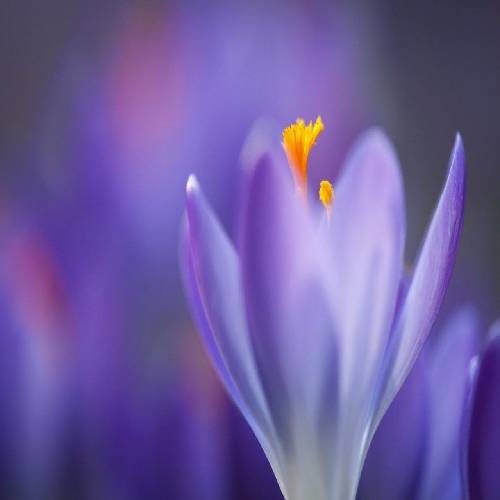 دانلود آهنگ انقدر مخالف دیکتاتوری‌‌ام که مویرگام به فکر سرنگونی شاهرگ ان 