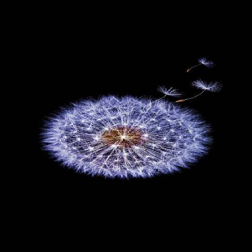 دانلود آهنگ اینجوری نمیشه بخوای رو بدن دیده بشی باید کبود شی 