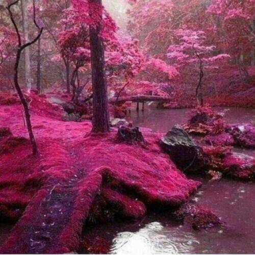 دانلود آهنگ برو برو آرتیسا