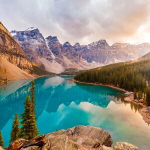  209 از شاهین نجفی