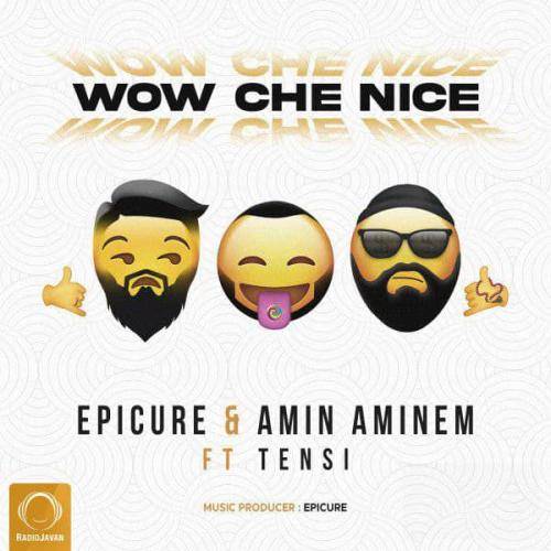 دانلود آهنگ واو چه نایس اپیکور و امین امینم