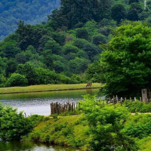 دانلود آهنگ ردش میمونه پوریا پوتک