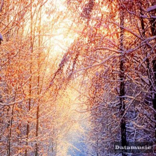 دانلود آهنگ در این شب سیاه همایون شجریان