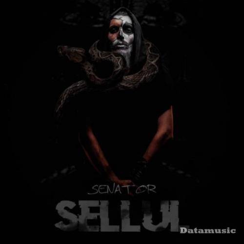 دانلود آهنگ سلول هادی سناتور