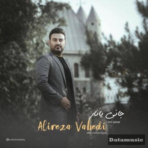 دانلود آهنگ انسان وقتی معشوقه اش رو از دست میده جگرش میسوزه علیرضا واحدی