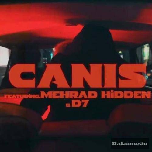 دانلود آهنگ گنگ گنگ گنگ مهراد هیدن و کنیس