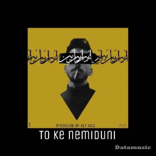 دانلود آهنگ تو که نمیدونی زانین