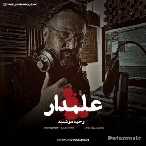 دانلود آهنگ علمدار وحید هوشمند