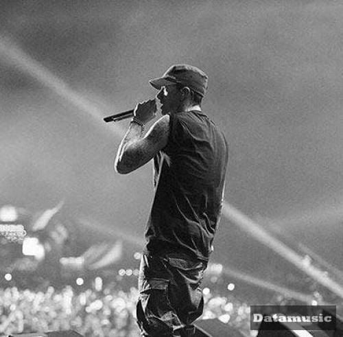 دانلود آهنگ ونوم امینم