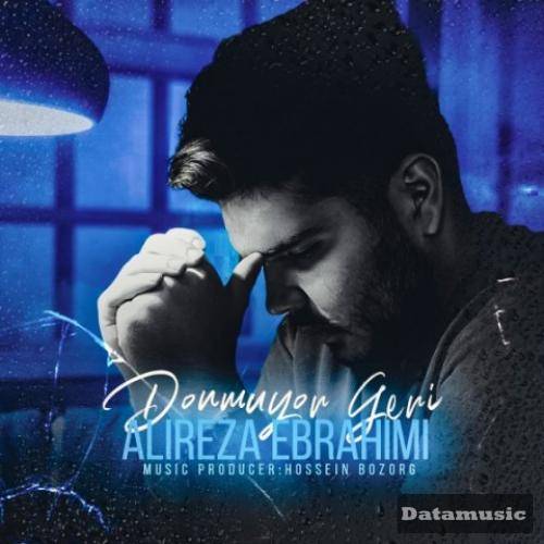 دانلود آهنگ برنمیگرده علیرضا ابراهیمی