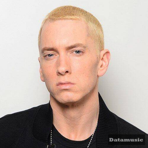 دانلود آهنگ Higher Eminem