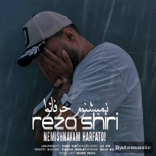 دانلود آهنگ دیگه نمیشونم حرفاتو نمیگیرم دستات و رضا شیری