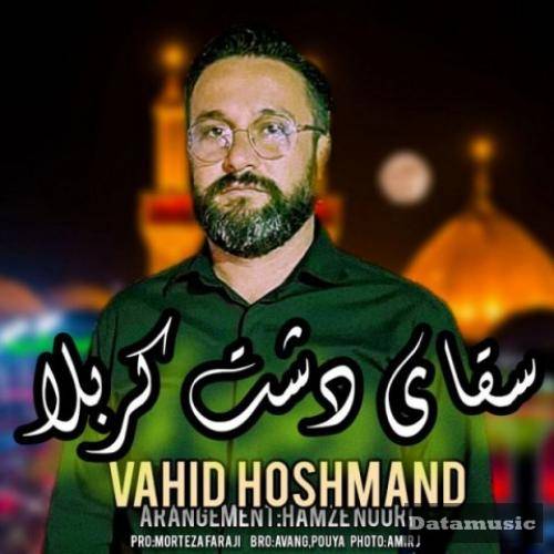 دانلود آهنگ سقای دشت کربلا وحید هوشمند