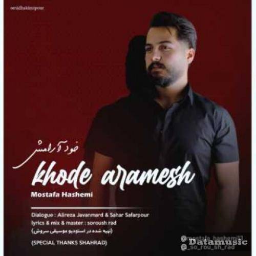 دانلود آهنگ خود آرامش مصطفی هاشمی