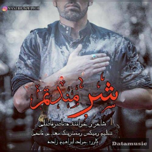 دانلود آهنگ شرمندتم ناصر فاضلی